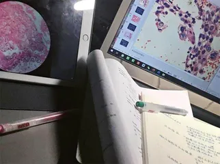 法医学:为生者权,为死者言0