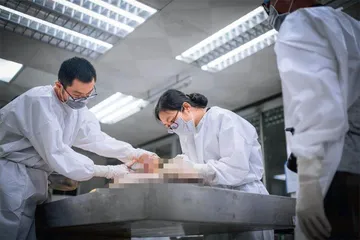 法医学:为生者权,为死者言1