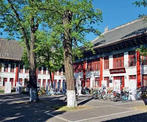 吴琪瑶:考古是透物见人的远行1
