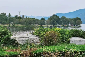 路虽长 行则至2