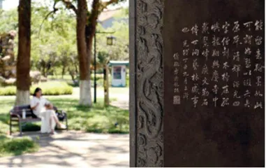 诗路今生,与古韵诗意撞个满怀1