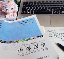 疫情偷走的时光，抓回来！1