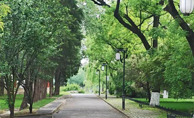 好久不见，未名湖