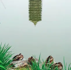 好久不见,未名湖2