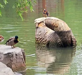 好久不见,未名湖4