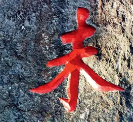 好久不见,未名湖5