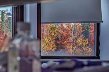 窗,定格风景3