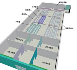 5小时,225盆生苗培育1