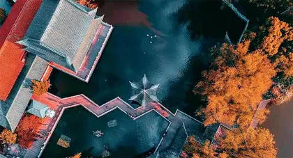 多样性多美!5