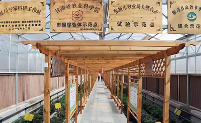 近听大河 远望丹霞4