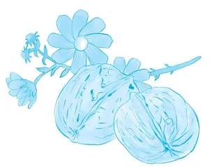 盘出来的智慧