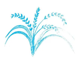 稻米情结 