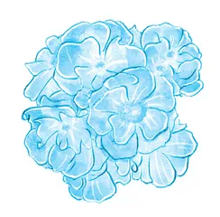 荼䕷花晚香自远