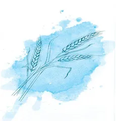 割麦水洲上