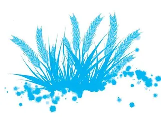 小麦不急