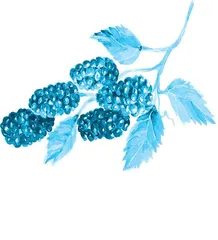 果子落下来，自会知道你是谁