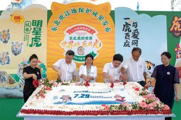 “全球老虎日”走进黑龙江东北虎林园2