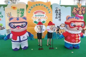 “全球老虎日”走进黑龙江东北虎林园3