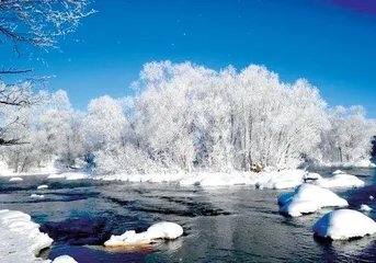 极境冰雪逍遥游  蝶舞黑河寻梦来