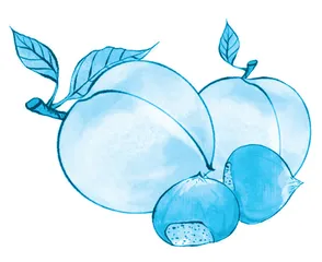 桃与栗