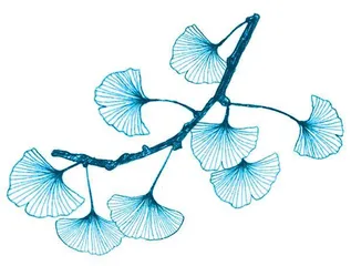 美，非季节限定