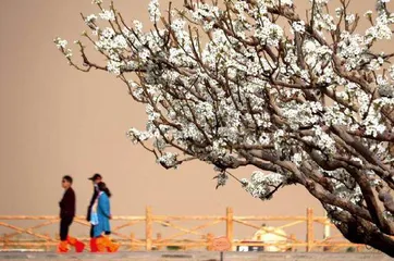 诗意中国,风光无限1