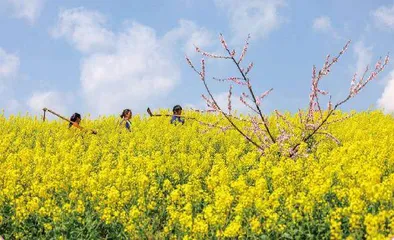 诗意中国,风光无限2