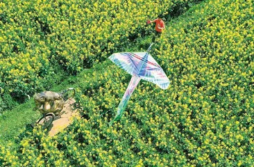 诗意中国,风光无限4