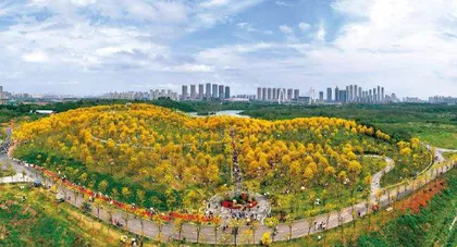 诗意中国,风光无限5