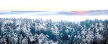 相约冰雪森林  开启童话之约