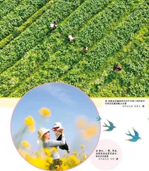春色满原野