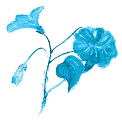 送你一片花海
