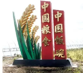 青春抚远:像朝阳,向朝阳1
