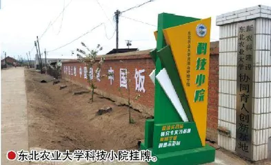 在思想引领中跑出乡村振兴的“青春加速度”