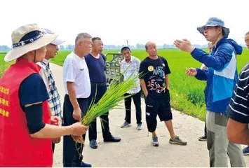 在思想引领中跑出乡村振兴的“青春加速度”2