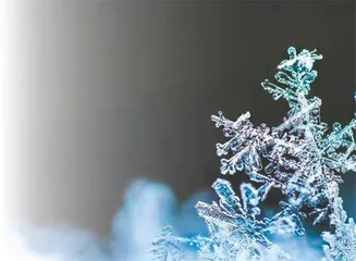张超：在雪花微世界里治愈人心4