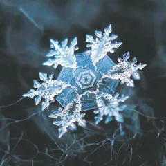 张超：在雪花微世界里治愈人心6