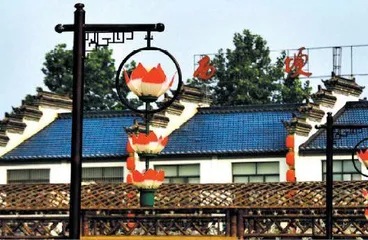 走进西埂莲乡1