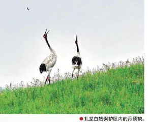 20℃的龙江邀请2