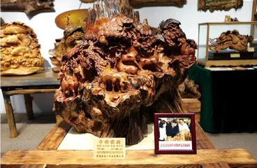 人和心,总有一个在伊春6
