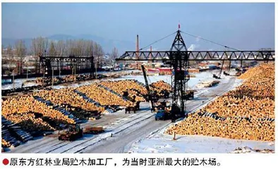 团歌嘹亮,响彻东方红林业局2
