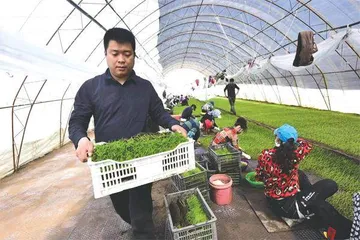 程连坤: 走在乡村振兴大潮中的时代新农人1