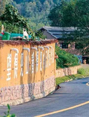 花开时,走进响堂村1