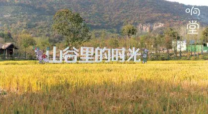花开时,走进响堂村2