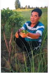 廷·巴特尔:让牧民过上好日子3