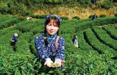 青春眼:党的二十大报告中的20个关键词11