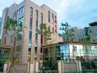 为青年成长赋能“青”心聚力绽放青春华彩
