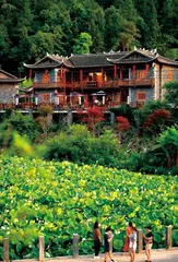 读中国13