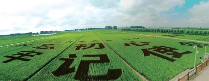 绘就乡村振兴新画卷8