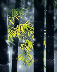 竹林的记忆